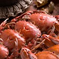 吃到飽重磅回歸！蝦兵蟹將上餐檯 讓你澎湃海鮮吃通海