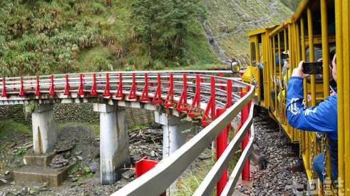 走進黃金森林仙境！太平山山毛櫸步道、蹦蹦車重新開放囉