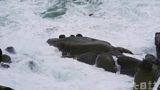 搧海風治厭世？和平島「自虐旅行」竟然莫名療癒｜冬遊基隆很有事(1)