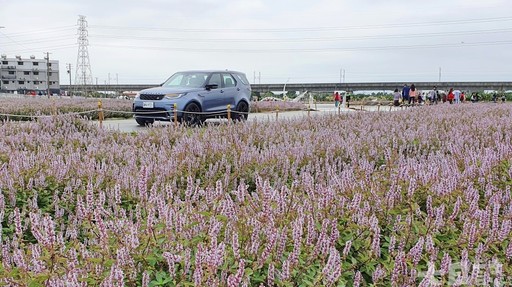 愛上它的5個好理由 Land Rover Discovery輕鬆試駕(下)｜開車出去玩