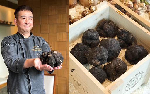 「限時」很殘酷！三二行館「冬黑松露季」 勤美學「野系新生活」錯過等明年