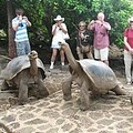 海水升溫禍害大 生物多樣島嶼瀕滅絕