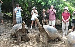 海水升溫禍害大 生物多樣島嶼瀕滅絕