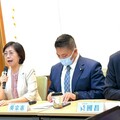 憲訴法釋憲說明會 大法官作球給綠？