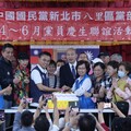 31藍委面臨大罷免 綠拚過半要衝11席