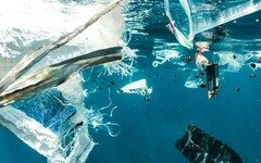 海洋塑膠害瀕危生物 全球航運攜手減塑