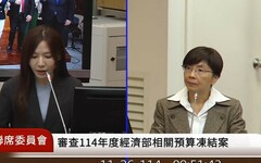 天然氣庫存僅10天 綠委籲建船隊確保供應