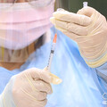新冠疫情單週70例死亡 本土麻疹群聚再增2例