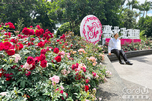 台北玫瑰展開幕粉浪漫 白色海芋迎白色情人節