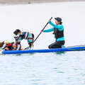 毛小孩旅行5大玩法 海上SUP狗爬式競賽