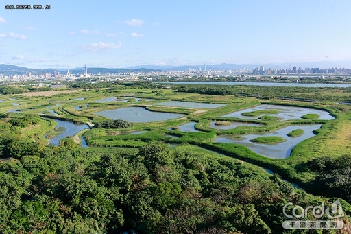 2025台北旅遊全攻略 陽明山花季吹奏序曲