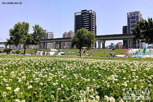 嘻哈大賞決賽最高潮 大都會公園白花狂放