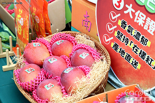 新北鼓藝節震撼四地 台南芒果節果香四溢