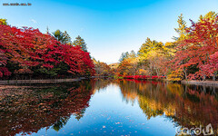 日本5大追楓勝地公開 寶可夢樂園新亮點曝光