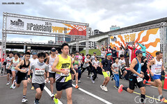 新北八個浪勇士迎曙光 九份銀白芒花夢幻景致