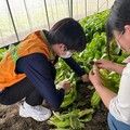 「農村綠色，照顧社區零飢餓」救國團桃園市團委會號召青年志工投身 SDGs永續零飢餓行動!