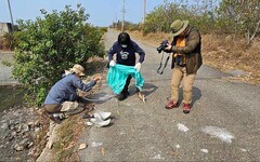 韓國賞鳥團體在布袋發現受傷黑琵 嘉義縣救援成功