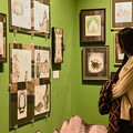 日本超人氣藝術家樋口裕子大型個展 展覽倒數