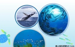 保育海洋 守護未來 2024海洋生命網絡論壇 作伙來！