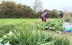 竹縣農民好安心 滿65歲享農保自付額補助