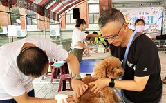 狂犬病預防注射及寵物登記巡迴 尖石北埔免費開打