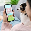 迎國際寵物日 HAPPY GO集結寵物品牌開拓萌寵新商機