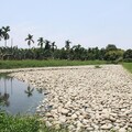 海豐濕地生態池重啟 淨化水質功能再度提升