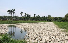 海豐濕地生態池重啟 淨化水質功能再度提升