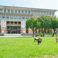 育達科技大學名列2024年台灣技職最佳大學 朝穩健大學目標邁進