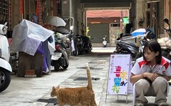 信義房屋建動物庇護所 動物共容基地獲社區支持