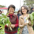 「美濃白玉蘿蔔還有好豆季」鬧熱開幕 蕭副總統共下挷蘿蔔 號召支持台灣農產業