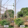 嘉義縣拆除道路兩側非法樹立廣告 保障用路人安全