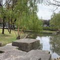 蛇福泰吉 元宵節前來板橋萬坪都會公園與慈惠宮 走春祈福 感受年節熱鬧氣氛