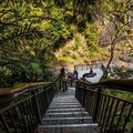 尖石秘境小錦屏迎雙喜! 溫泉步道、聯絡道路齊完工