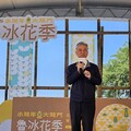 2025桃園魯冰花季登場 迎春賞花樂遊客庄