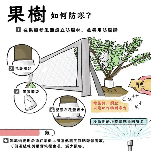 強烈大陸冷氣團影響 各地天氣寒冷 農糧署提醒農民加強農作物防寒措施並注意保暖