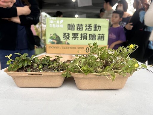 花蓮遠百捐發票贈「漢堡盒」植栽 讓綠意進駐美好生活