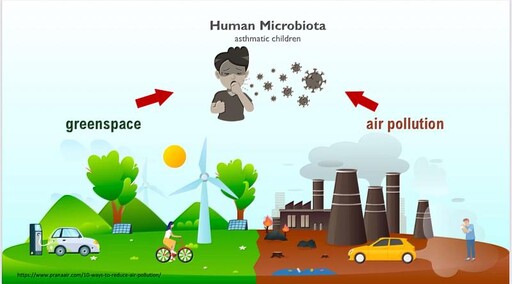 成大最新研究 多接觸綠地與避免空汙之氣喘兒 鼻腔與腸道微生物偏向健康菌相