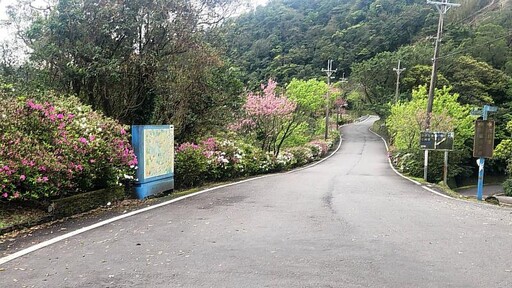 雙溪車遊賞杜鵑 飽覽景觀廊道春季百花綻放秘境