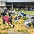 元智學生走入田間 體驗有機耕作見證農業永續