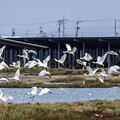 韋能能源嘉義義竹綠能生態教育館 2025 年度參訪日開放報名