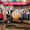 太平洋黑鮪漁季來臨 新養護管理措施上路