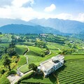 「慢遊嘉義」影片2天破500萬觀看！梅山絕世風景一次看