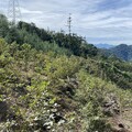 建構國土生態綠網 林業及自然保育署臺中分署攜手萬海航運合作認養造林 實踐ESG永續發展
