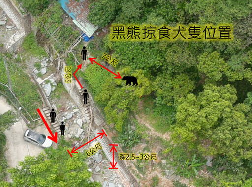 花蓮分署還原卓溪黑熊遭槍擊事件過程:情況緊急合法自衛,將強化人熊衝突預警與管理