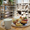 嘉義賞螢季限定！慢遊嘉義LINE官方帳號19家餐飲體驗享優惠