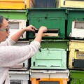 北分署母親節溫馨獻禮 「臻愛媽咪 鳳凰禮讚」電子型錄暖心登場