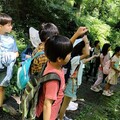 帶孩子走進溪頭森林，展開一場奇妙的自然探索之旅