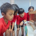 雲林縣「聚光計畫」DIY活動圓滿落幕 李家花蜜老師傳授蜂蠟蠟燭手作 點亮偏鄉童心