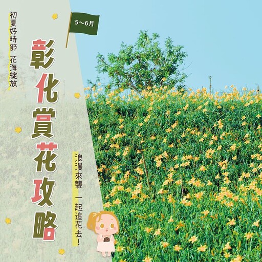 追花趣!彰化初夏多樣花卉接力綻放 花季浪漫啟程